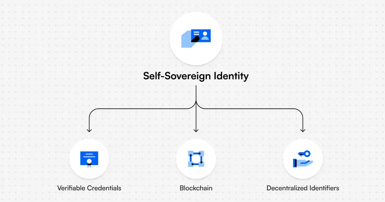 Overview of Self-Sovereign Identity