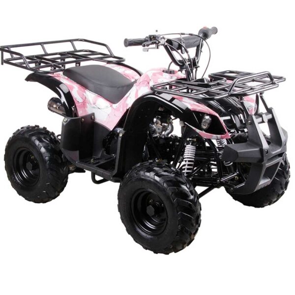 Coolster 125Cc Atv Wiring Diagram