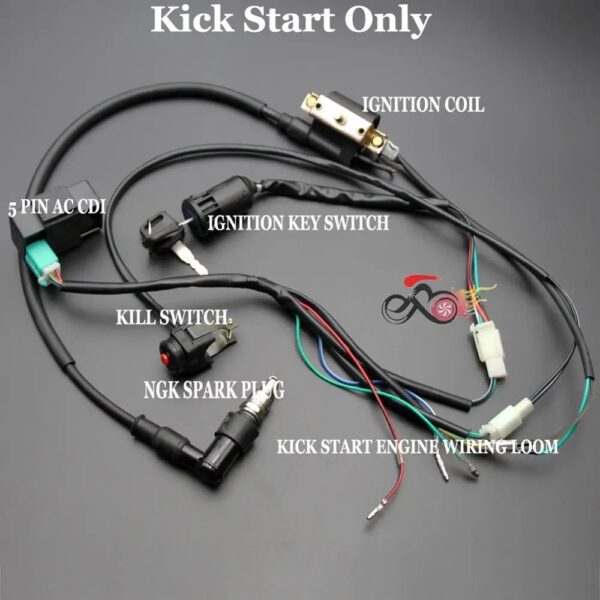125Cc Pit Bike Wiring Diagram Kick Start